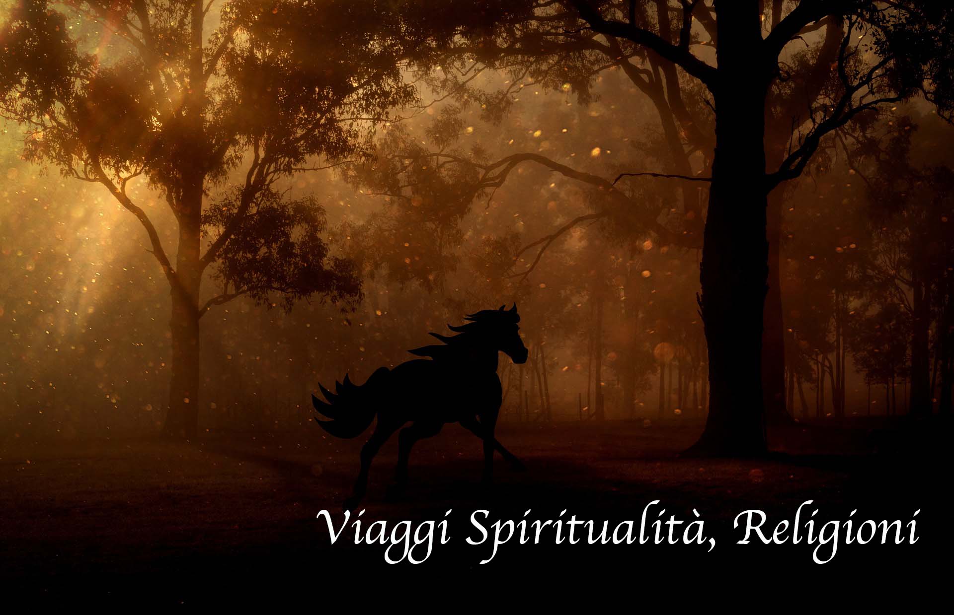 Viaggi spiritualità e Religioni